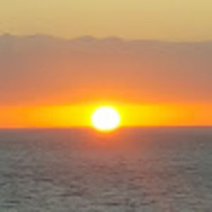 Meet your Posher, Richard